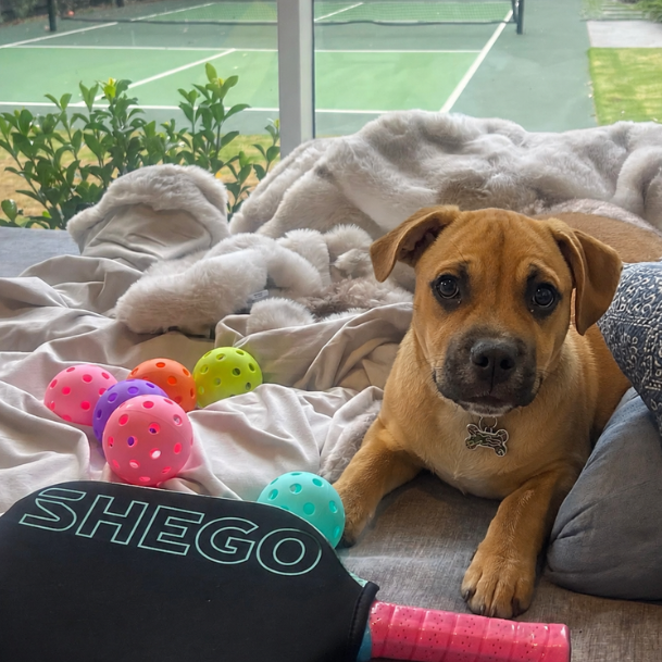 SHEGO Comfort Control Pickleball Paddle – Pink